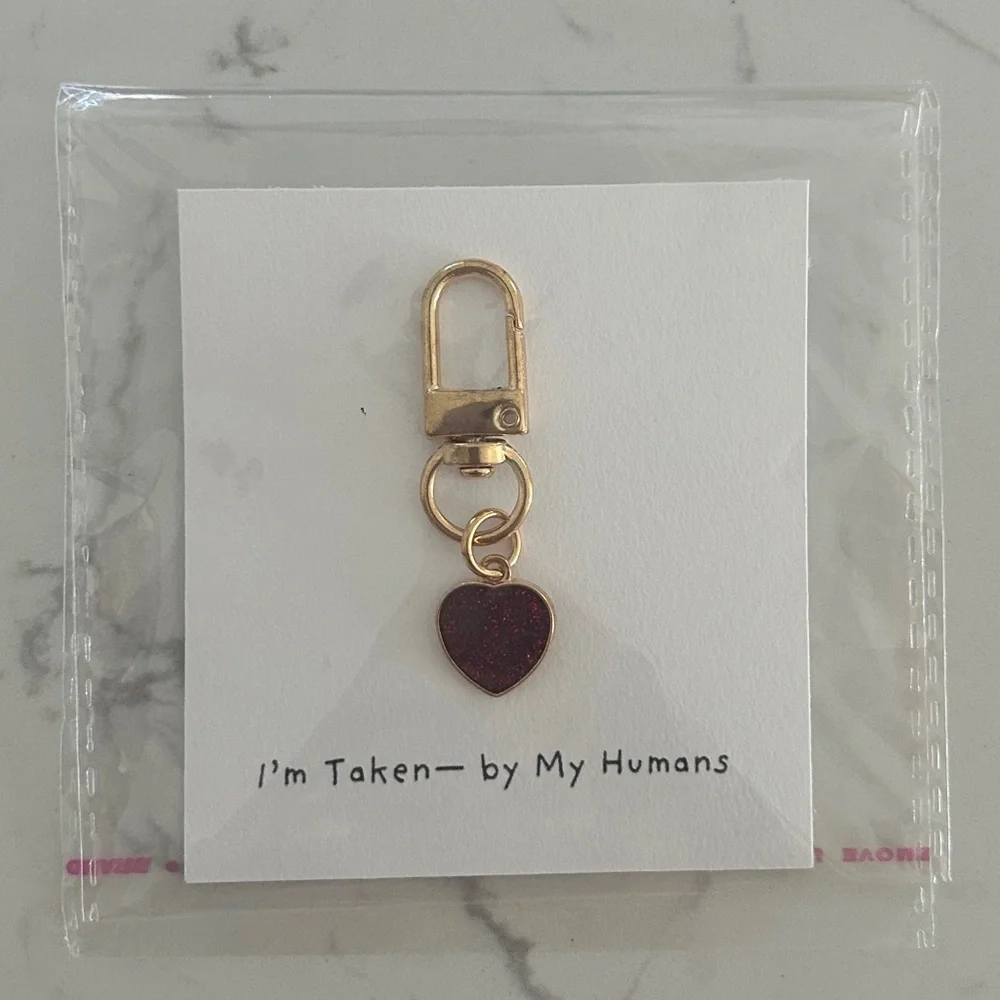 Personalized Heart Charm for Pets, Dog Collar Accessories- NWT